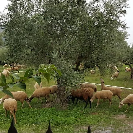 Evelina Σπίτι διακοπών Καλαμάτα