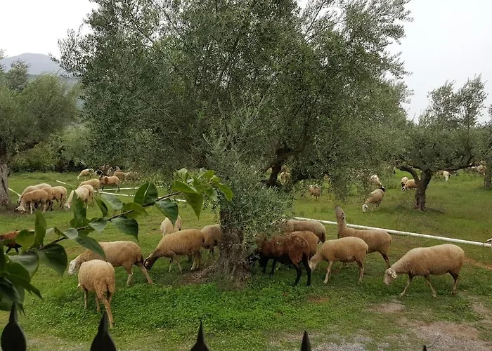Evelina Casa vacanze Kalamata