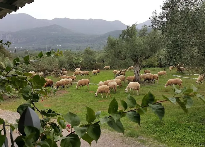 Evelina Καλαμάτα